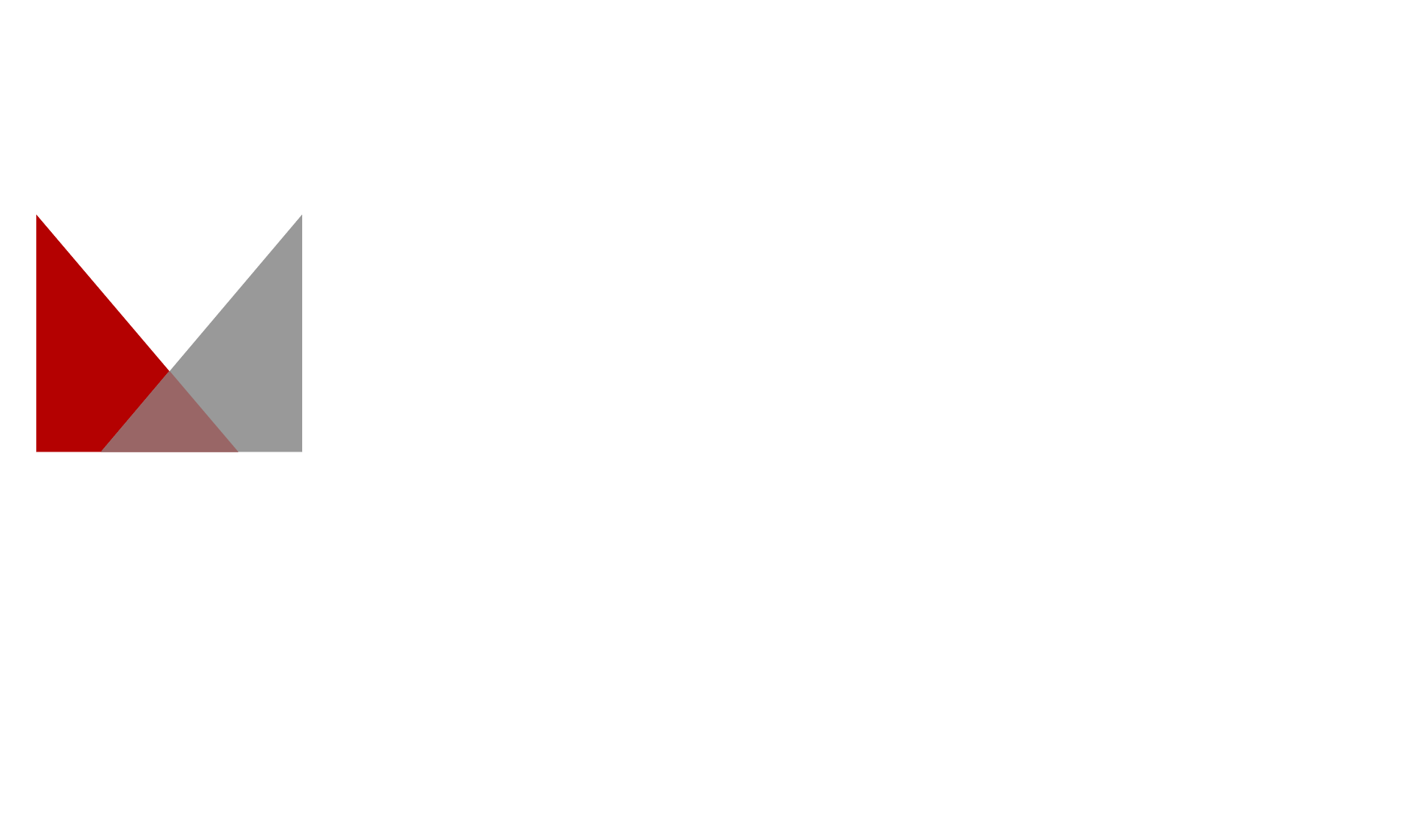 Young Marketing Group · Realty Executives