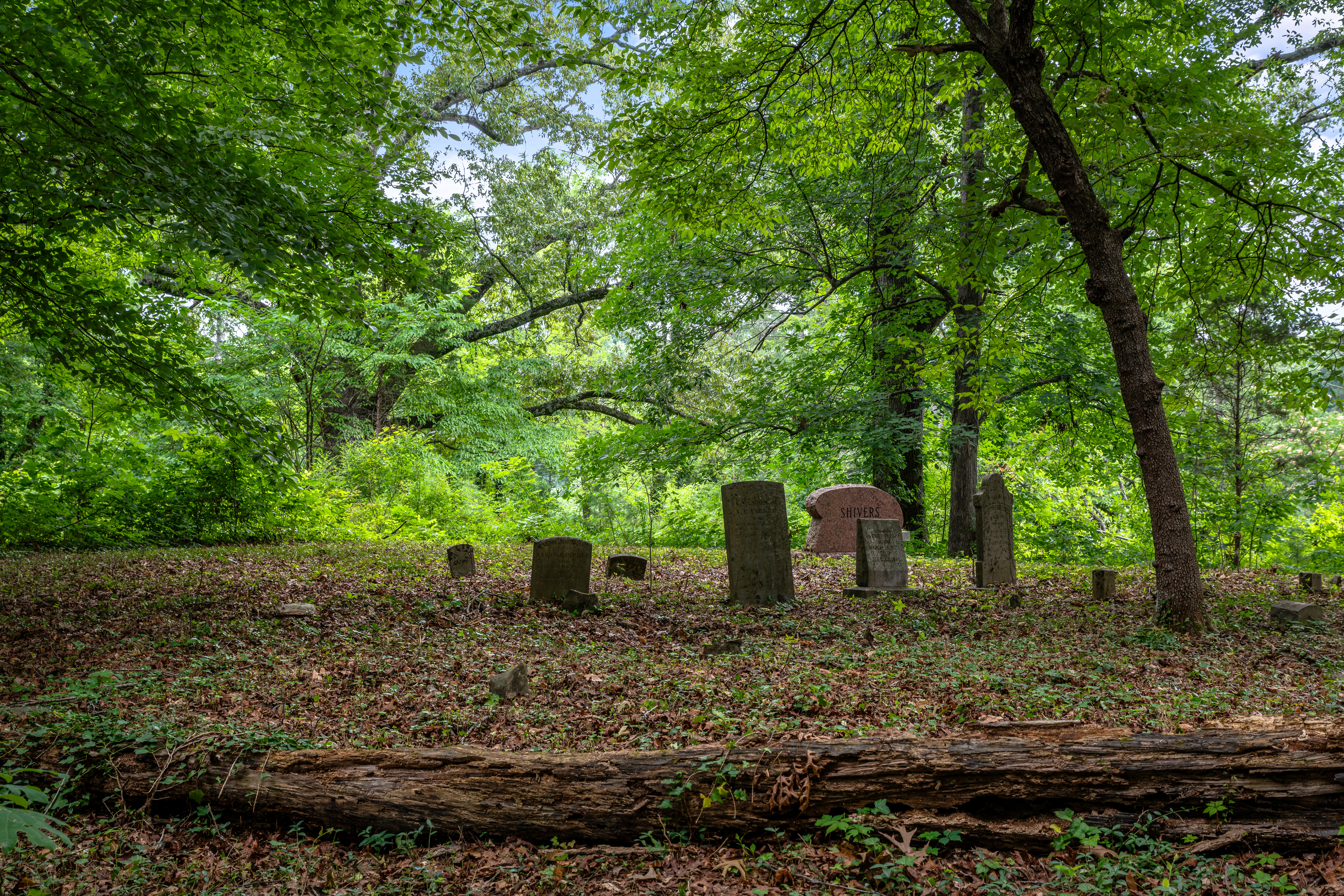 The historic cemetery adjoining the estate