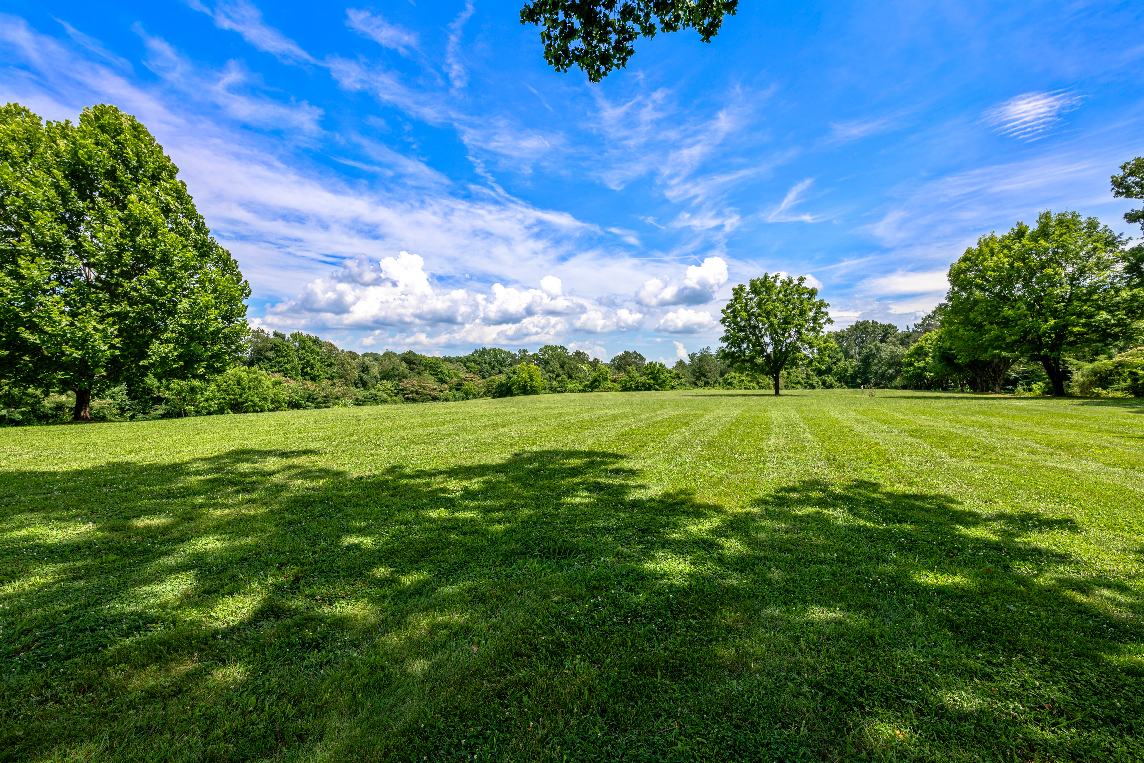 The open meadow from the side of the manor