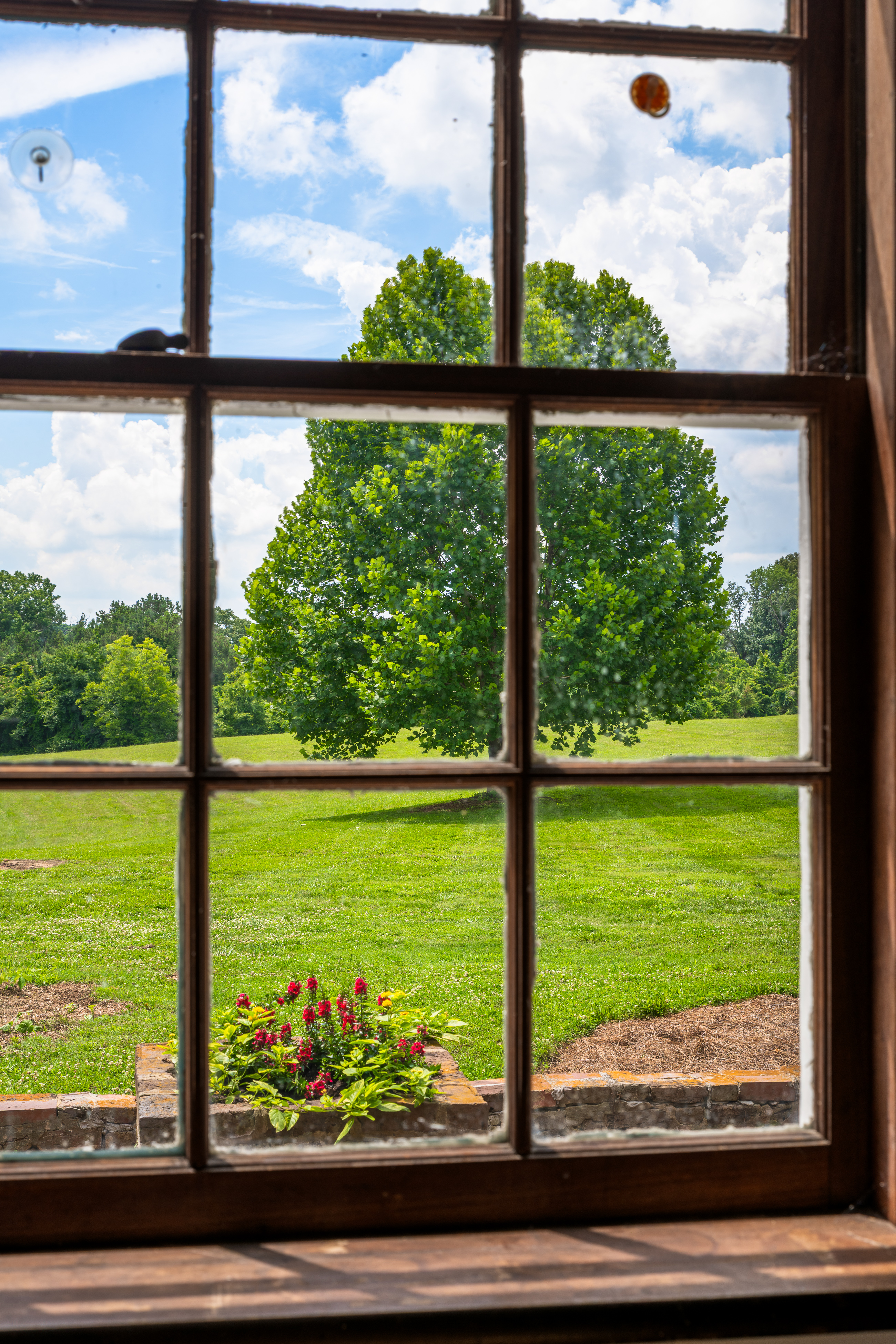 A twelve-over-twelve sash framing the meadow beyond